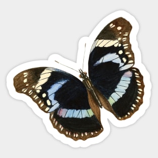 Vintage butterflies Pattern Sticker